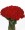 Red Roses Bouquet Flower Arrangment